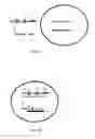 Fig. 08 - System and methods for massively parallel analysis of nucleic acids in single cells