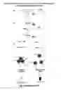 Fig. 02 - DNAzyme-nanoparticle conjugates and methods of use thereof