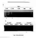 Fig. 06 - DNAzyme-nanoparticle conjugates and methods of use thereof