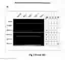 Fig. 10 - DNAzyme-nanoparticle conjugates and methods of use thereof