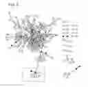 Fig. 03 - METHODS OF TREATING A METABOLIC SYNDROME BY MODULATING HEAT SHOCK PROTEIN (HSP) 90-BETA