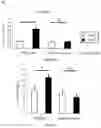 Fig. 05 - Methods for the treatment of cardiovascular fibrosis