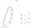 Fig. 03 - APTAMERS FOR TOPICAL DELIVERY