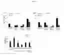 Fig. 19 - APTAMERS FOR TOPICAL DELIVERY