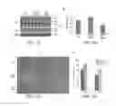 Fig. 04 - COMPOSITIONS AND METHODS FOR TARGETING O-LINKED N-ACETYLGLUCOSAMINE TRANSFERASE AND PROMOTING WOUND HEALING