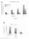 Fig. 08 - COMPOSITIONS AND METHODS FOR TARGETING O-LINKED N-ACETYLGLUCOSAMINE TRANSFERASE AND PROMOTING WOUND HEALING
