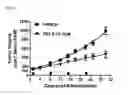 Fig. 16 - siRNA structures for high activity and reduced off target
