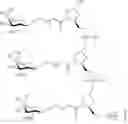 Fig. 115 - Compositions and methods for modulating growth hormone receptor expression