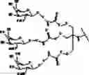 Fig. 121 - Compositions and methods for modulating growth hormone receptor expression