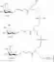 Fig. 263 - Compositions and methods for modulating growth hormone receptor expression