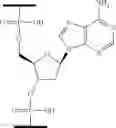 Fig. 43 - Compositions and methods for modulating growth hormone receptor expression