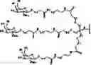 Fig. 95 - Compositions and methods for modulating growth hormone receptor expression