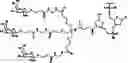 Fig. 98 - Compositions and methods for modulating growth hormone receptor expression