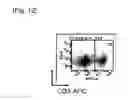 Fig. 11 - METHOD FOR PRODUCING VECTOR IN WHICH FOREIGN GENE HAS BEEN INTRODUCED