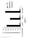 Fig. 05 - Stabilization of poly(A) sequence encoding DNA sequences