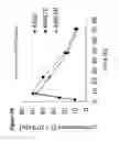 Fig. 06 - Stabilization of poly(A) sequence encoding DNA sequences