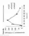 Fig. 07 - Stabilization of poly(A) sequence encoding DNA sequences