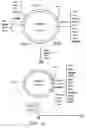 Fig. 17 - METHODS OF MAKING MINICIRCLES