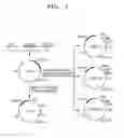 Fig. 02 - Vector replicable in and cell of genus , cell including the same, and method of using the same