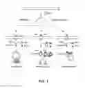 Fig. 02 - TECHNIQUES FOR TRANSFECTING PROTOPLASTS