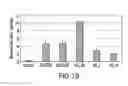 Fig. 28 - Compositions and methods for site directed genomic modification