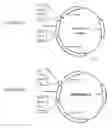 Fig. 03 - Methods and compositions for identifying NBB1 mutations