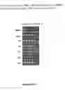 Fig. 15 - Methods and compositions for identifying NBB1 mutations