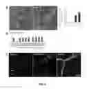 Fig. 03 - PLANTS WITH ENHANCED RESISTANCE TO PHYTOPHTHORA