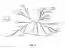 Fig. 10 - PLANTS WITH ENHANCED RESISTANCE TO PHYTOPHTHORA