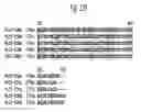 Fig. 45 - Insecticidal proteins from plants