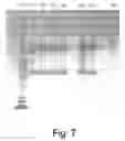 Fig. 08 - PROTEIN EXPRESSION FROM MULTIPLE NUCLEIC ACIDS