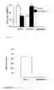 Fig. 02 - METHODS FOR PRODUCING AND USING IN VIVO PSEUDOTYPED RETROVIRUSES