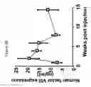 Fig. 05 - METHODS FOR PRODUCING AND USING IN VIVO PSEUDOTYPED RETROVIRUSES