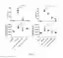 Fig. 03 - Recombinant AAV vectors useful for reducing immunity against transgene products
