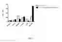 Fig. 08 - Recombinant AAV vectors useful for reducing immunity against transgene products