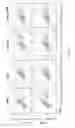 Fig. 15 - Recombinant AAV vectors useful for reducing immunity against transgene products