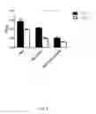 Fig. 19 - Recombinant AAV vectors useful for reducing immunity against transgene products