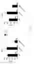 Fig. 20 - Recombinant AAV vectors useful for reducing immunity against transgene products