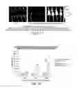 Fig. 05 - Isolation of novel AAV's and uses thereof