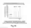 Fig. 07 - Isolation of novel AAV's and uses thereof