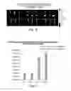 Fig. 09 - Isolation of novel AAV's and uses thereof