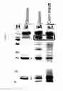 Fig. 03 - Cyclodextrin glucanotransferase
