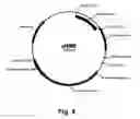 Fig. 05 - Enzyme Compositions and Uses Thereof