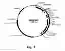 Fig. 06 - Enzyme Compositions and Uses Thereof