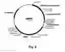 Fig. 07 - Enzyme Compositions and Uses Thereof