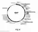 Fig. 09 - Enzyme Compositions and Uses Thereof