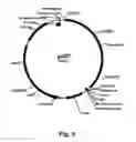 Fig. 10 - Enzyme Compositions and Uses Thereof