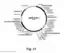 Fig. 12 - Enzyme Compositions and Uses Thereof