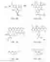 Fig. 22 - Oligosaccharide modification and labeling of proteins