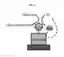 Fig. 02 - ELECTROCHEMICAL BIOSENSOR USING DUAL ELECTRODE PAIR